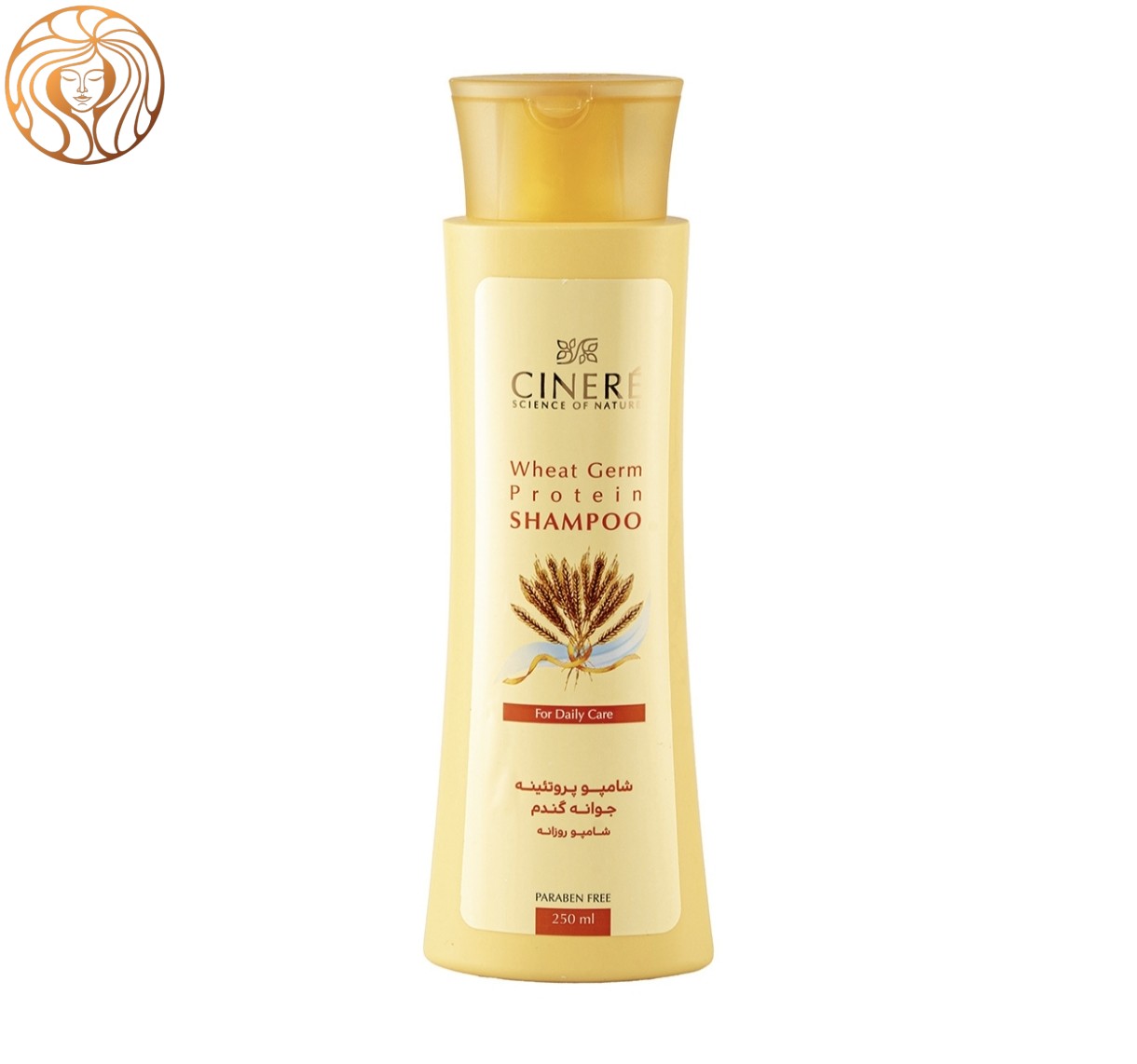 شامپو تقویت کننده مو سینره مدل Wheat Germ حجم 250 میلی لیتر